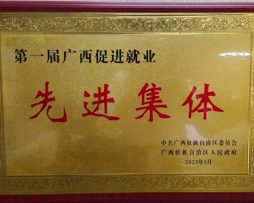第一屆廣西促進(jìn)就業(yè)先進(jìn)集體